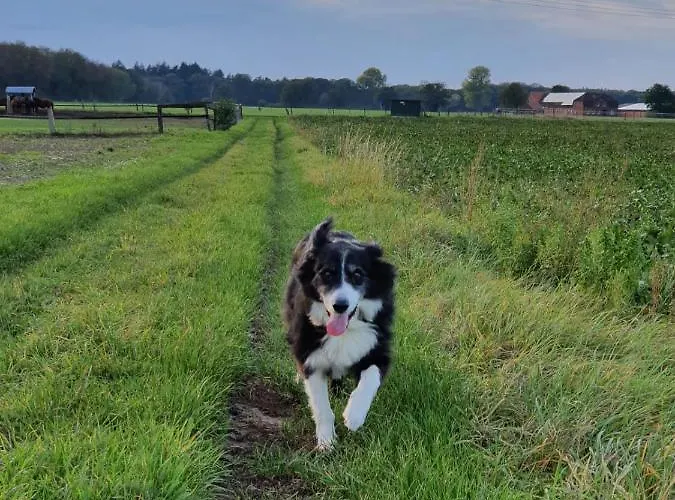 Lejlighed Poczewski Kevelaer